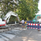 DSCN8558_JPG-1375309555