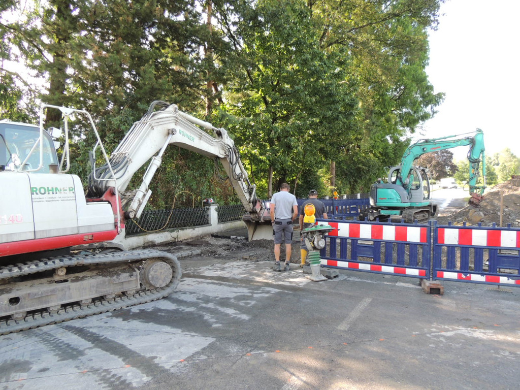 DSCN8558_JPG-1375309555