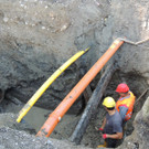 DSCN8552_JPG-1375309537