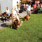DSC00195.JPG