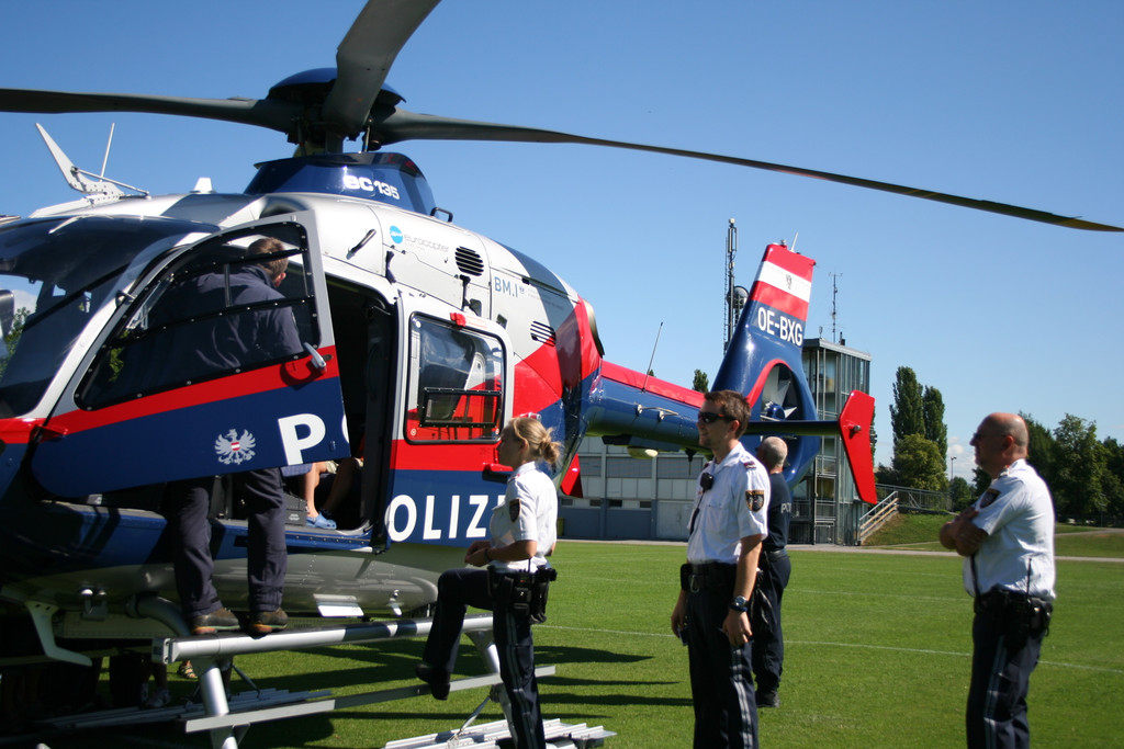 grilla_jpg 100_jpg-1375357860