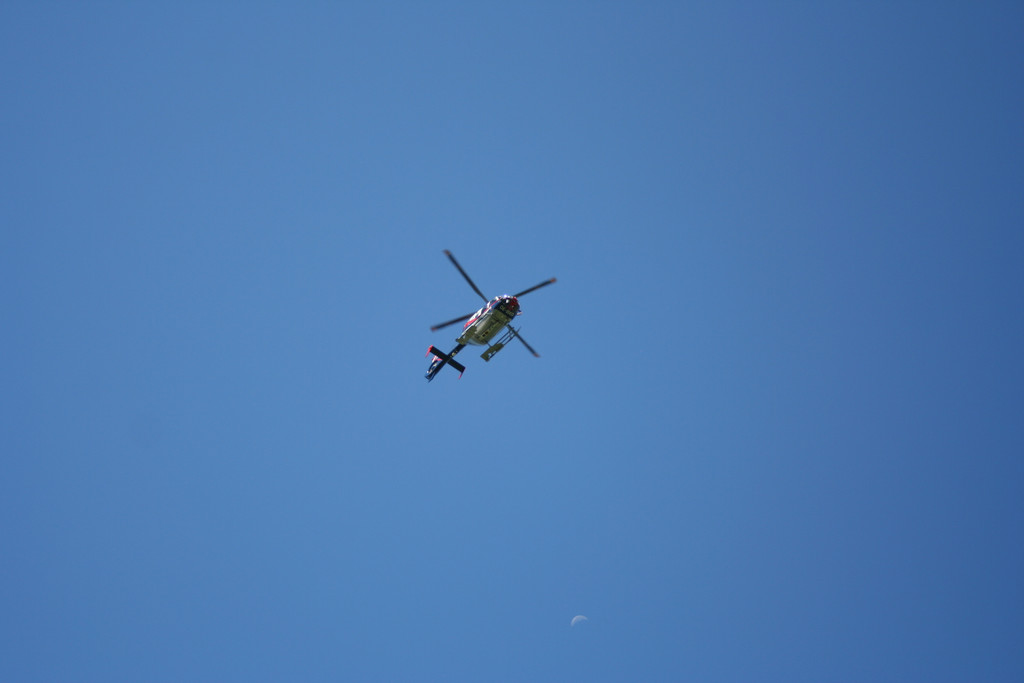 grilla_jpg 150_jpg-1375358221