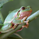 ABD0003-20130801.jpg