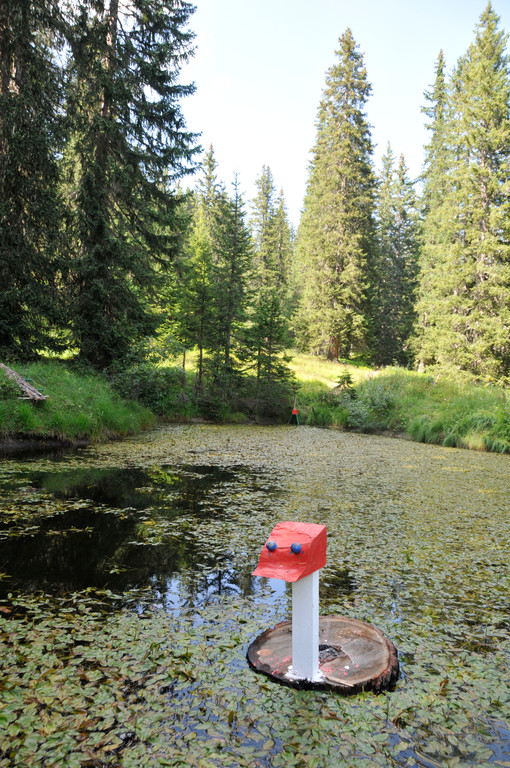 LechZuers-TourismusGmbH-Libellensee.jpg