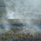 MAT_8447.jpg