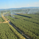 MAT_8459.jpg