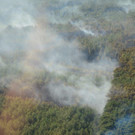 MAT_8487.jpg