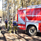 Waldbrand Foehrenwald Tag 2  _10_.JPG
