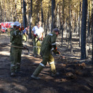 Waldbrand Foehrenwald Tag 2  _11_.JPG