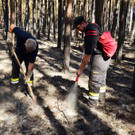Waldbrand Foehrenwald Tag 2  _13_.JPG