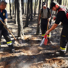 Waldbrand Foehrenwald Tag 2  _14_.JPG