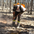 Waldbrand Foehrenwald Tag 2  _18_.JPG