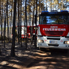 Waldbrand Foehrenwald Tag 2  _3_.JPG