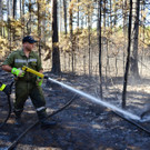Waldbrand Foehrenwald Tag 2  _5_.JPG