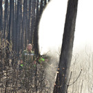 Waldbrand Foehrenwald Tag 2  _6_.JPG