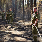 Waldbrand Foehrenwald Tag 2  _9_.JPG