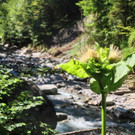 KOE_Durchs wilde Saminatal 15_jpg-1375459025