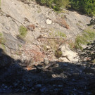 KOE_Durchs wilde Saminatal 29_jpg-1375459130
