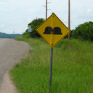 bump road sign.jpg
