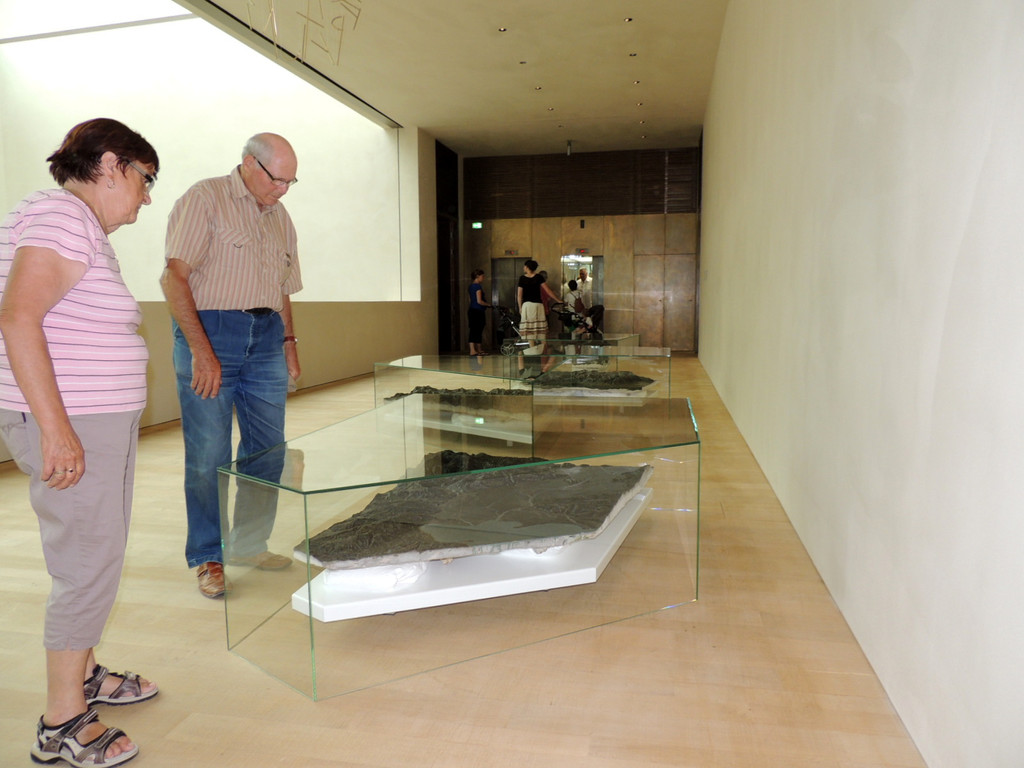 DSCN9473_JPG-1375548163