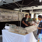 DSCN8681_JPG-1375549878