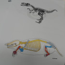 DSCN8706_JPG-1375551384