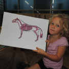 DSCN8719_JPG-1375551400