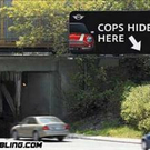 293x220-funny-road-signs.jpg