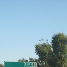 4122161743_20b53464fe_o.jpg
