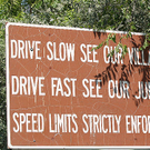 214542286_707b5b681c.jpg