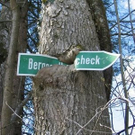 sign-eating-trees.jpg