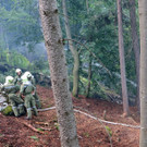 ABD0118-20130803.jpg