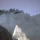 ABD0120-20130803.jpg