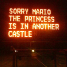 sorrymario1_2_.jpg