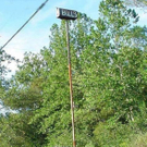tall2.jpg