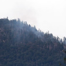 normal_03082013waldbrandde01001aktivnews_001.JPG