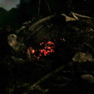 normal_03082013waldbrandde01001aktivnews_099.JPG