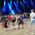 13073691.jpg