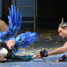 Bilder "Sommernachtstraum"