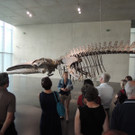 DSCN6393_JPG-1375649710