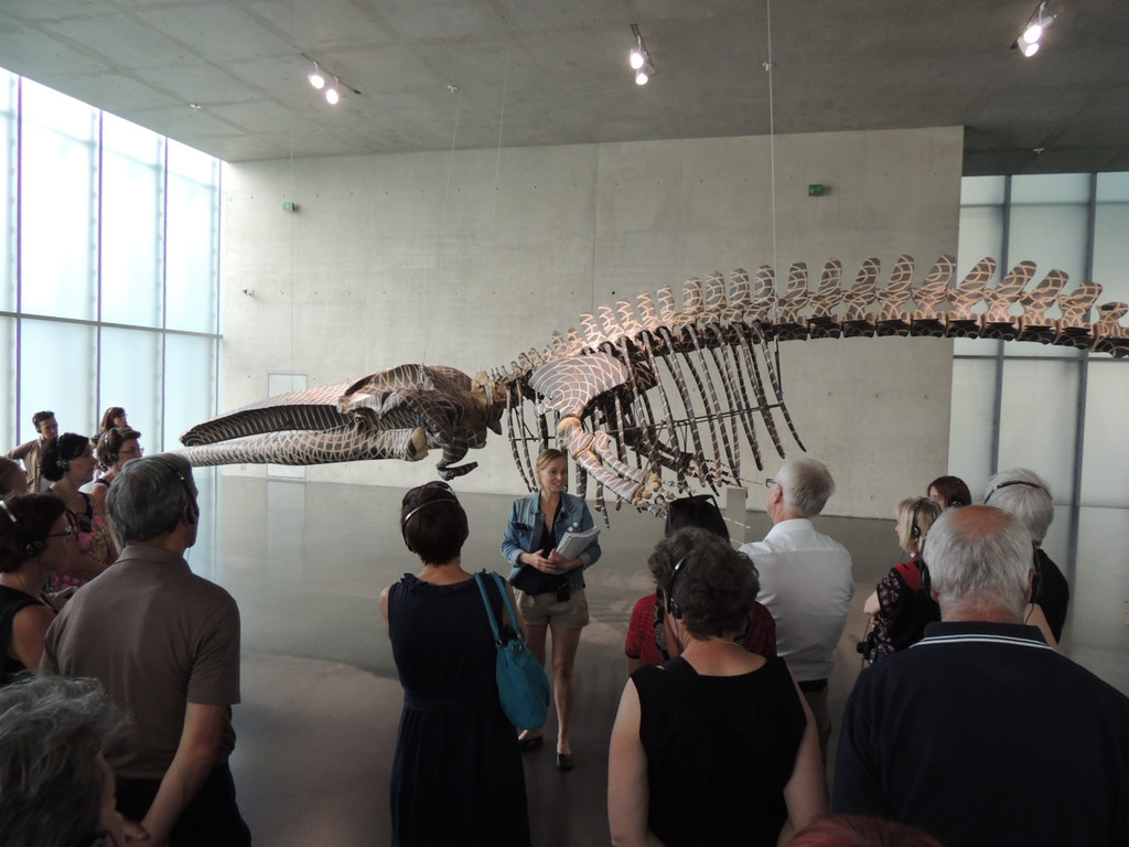 DSCN6393_JPG-1375649710