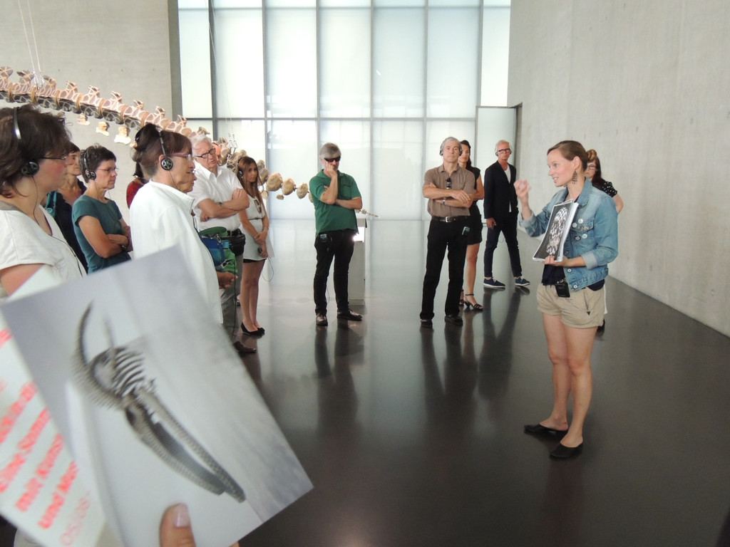 DSCN6405_JPG-1375649727