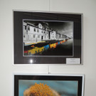 DSCN5655_JPG-1375651157