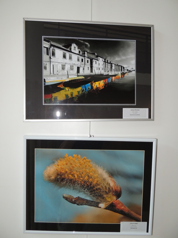 DSCN5655_JPG-1375651157