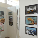 DSCN5654_JPG-1375651130