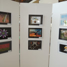 DSCN5650_JPG-1375651114