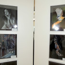 DSCN5651_JPG-1375651117