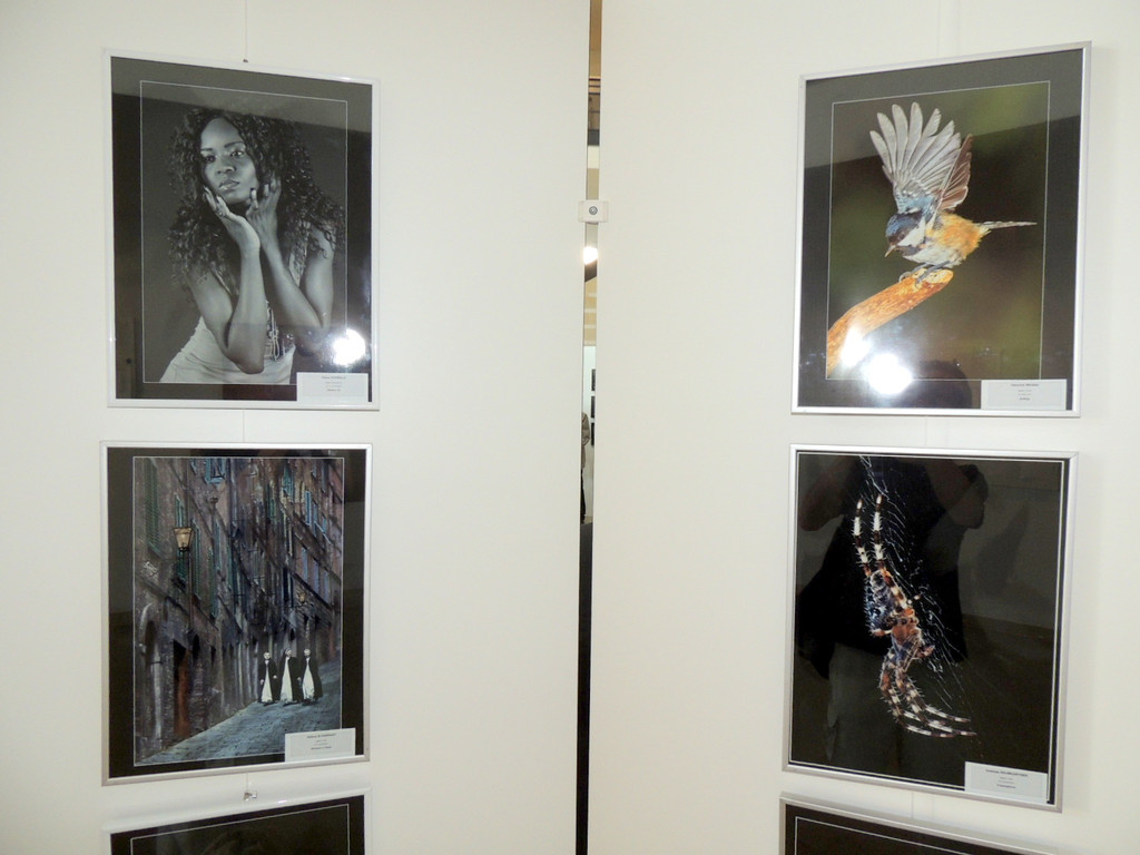 DSCN5651_JPG-1375651117