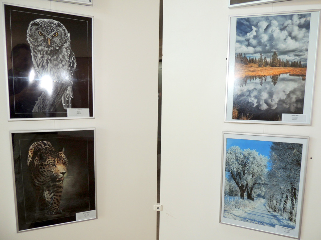 DSCN5652_JPG-1375651122