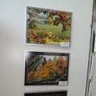 DSCN5656_JPG-1375651161